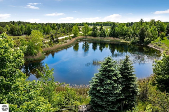 view of water feature with a wooded view