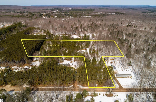 12230 Aylsworth, Beulah MI, 49617 land for sale