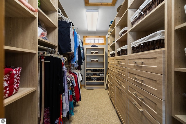 walk in closet featuring light colored carpet