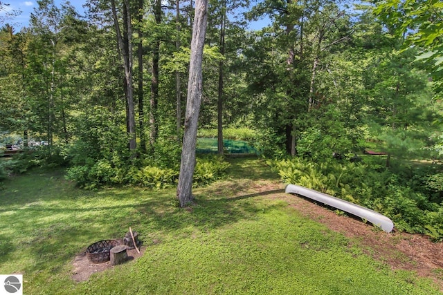 view of yard featuring a fire pit