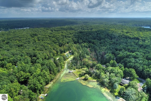 aerial view featuring a view of trees and a water view