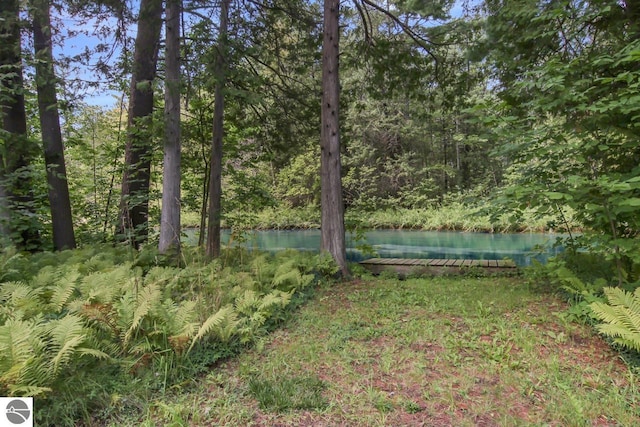 view of yard with a forest view and a water view