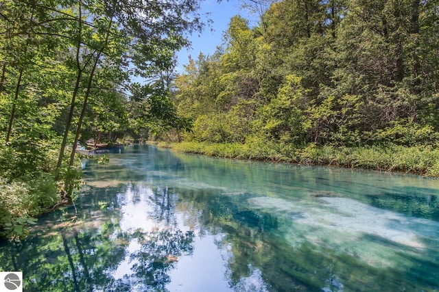 property view of water featuring a forest view