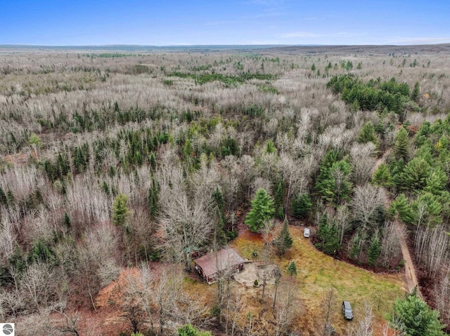 6149 N Trail SE, Kalkaska, MI 49646