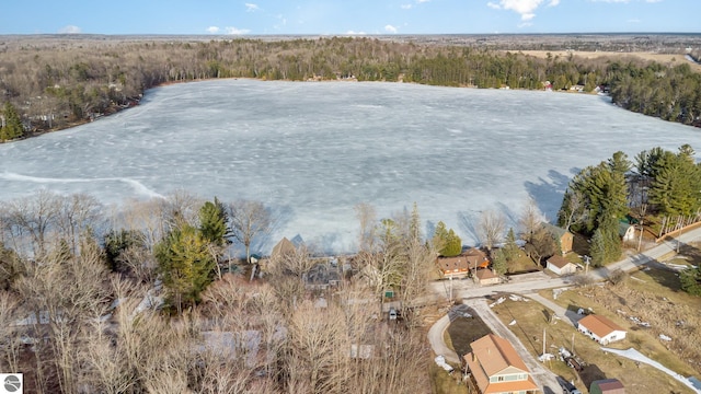 drone / aerial view featuring a view of trees