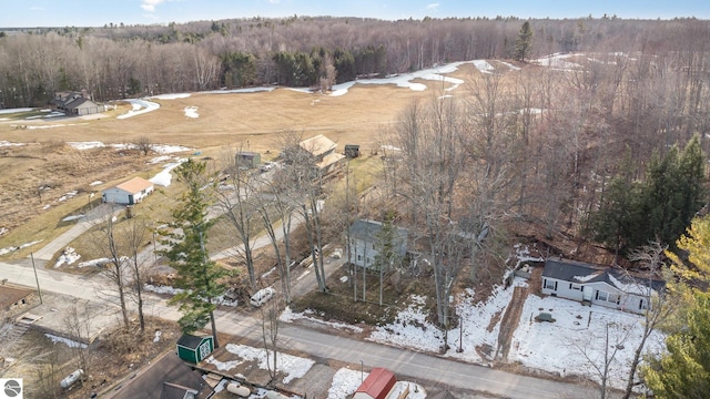 bird's eye view with a view of trees