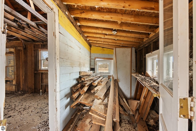 miscellaneous room with plenty of natural light