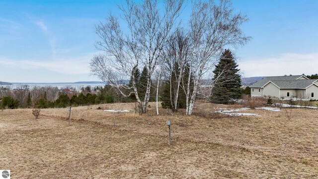 390 Shields Dr, Beulah, MI 49617