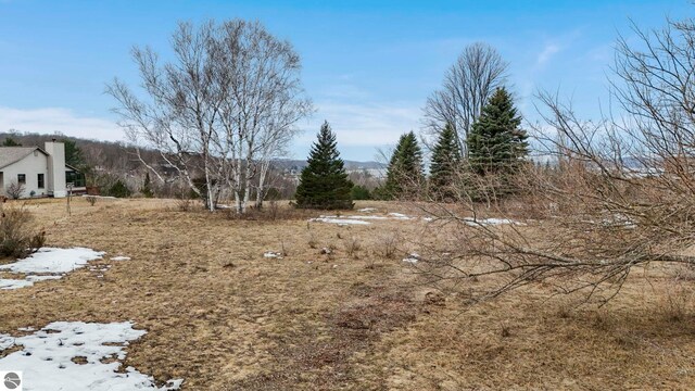 390 Shields Dr, Beulah, MI 49617