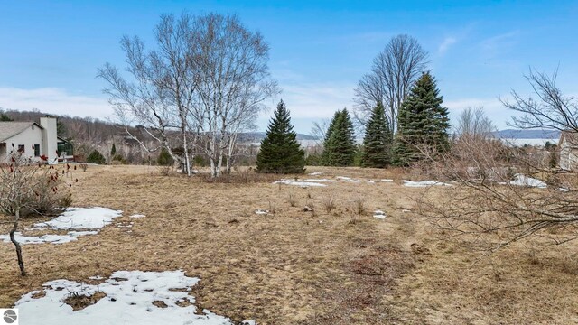 390 Shields Dr, Beulah, MI 49617
