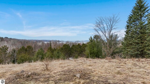 390 Shields Dr, Beulah, MI 49617