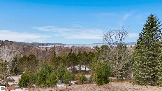 390 Shields Dr, Beulah, MI 49617