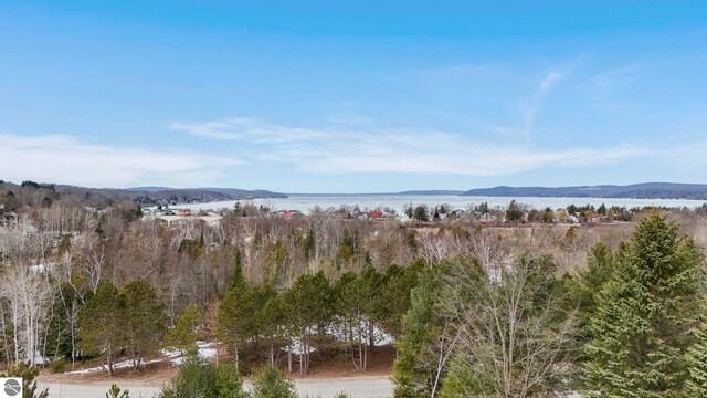 390 Shields Dr, Beulah, MI 49617