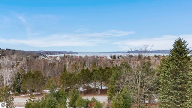 390 Shields Dr, Beulah, MI 49617