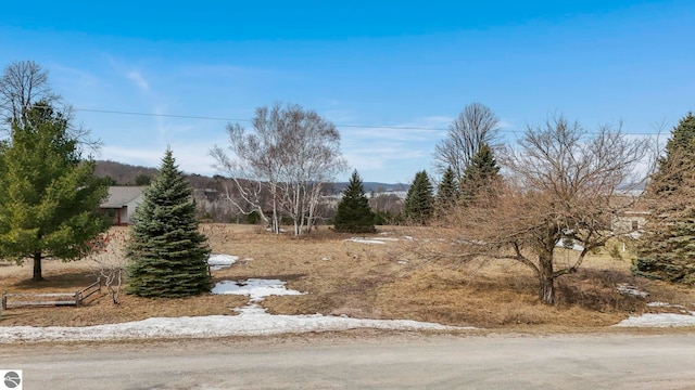 390 Shields Dr, Beulah, MI 49617