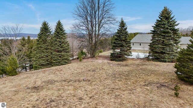 390 Shields Dr, Beulah, MI 49617