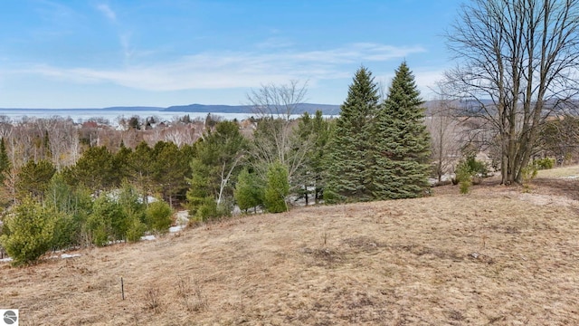 390 Shields Dr, Beulah, MI 49617