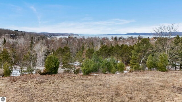 390 Shields Dr, Beulah, MI 49617