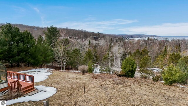 390 Shields Dr, Beulah, MI 49617
