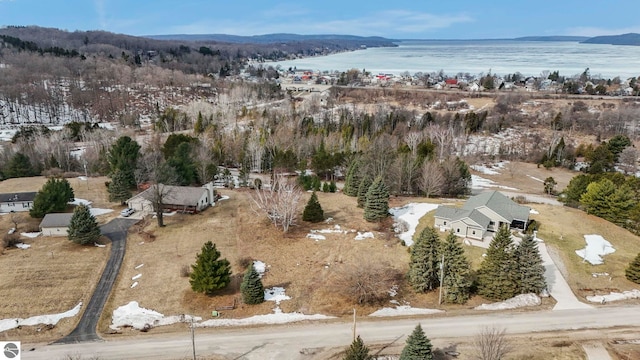 390 Shields Dr, Beulah, MI 49617