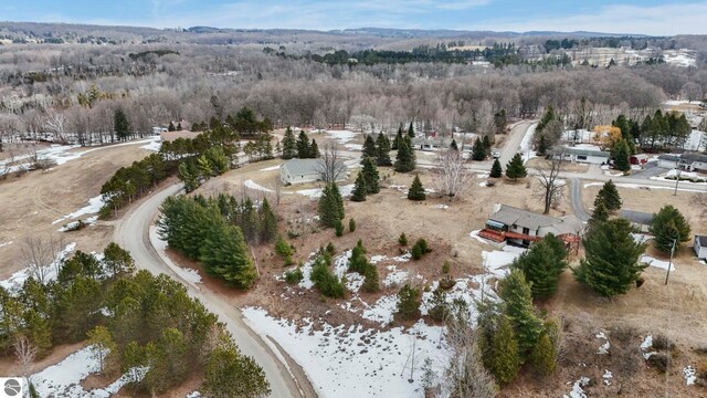 390 Shields Dr, Beulah, MI 49617
