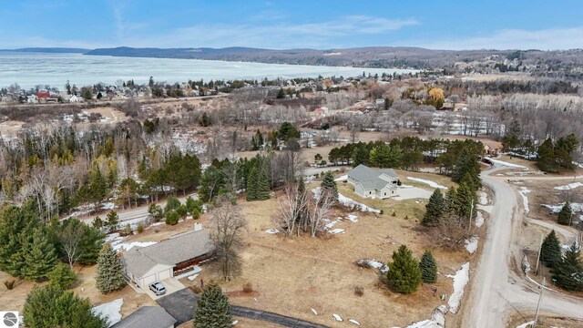 390 Shields Dr, Beulah, MI 49617