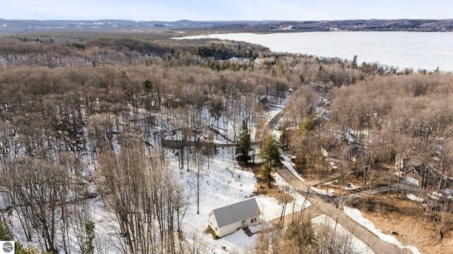 LOTS19 E Lake Bluffs Dr, Traverse City MI, 49684 land for sale