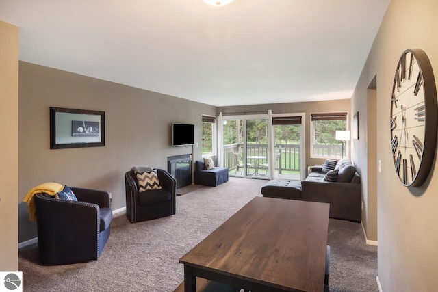 living area featuring baseboards and carpet floors