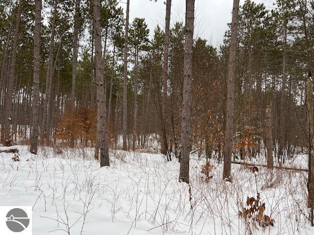 Listing photo 3 for 0 Samels Rd, Williamsburg MI 49690