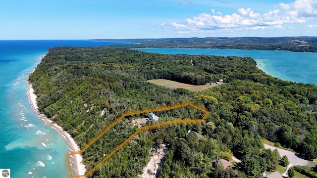 4781 E Golfview Dr, Leland, MI 49654 - bird's eye view with a beach view, a water view, and a wooded view