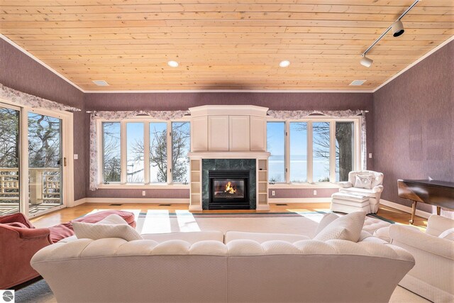 living area featuring wooden ceiling, wood finished floors, and a healthy amount of sunlight