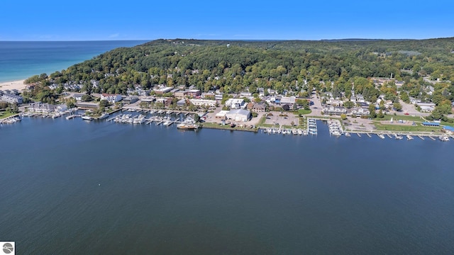 birds eye view of property featuring a view of trees and a water view