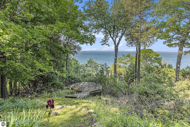 501 Michigan Ave, Frankfort, MI 49635 - water view