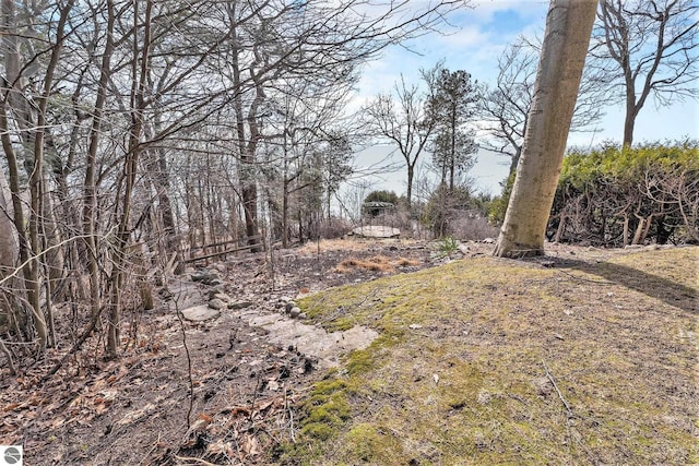 501 Michigan Ave, Frankfort, MI 49635 - view of yard