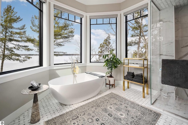 5568 Lakeview Dr, Interlochen, MI 49643 - bathroom with baseboards, healthy amount of natural light, a freestanding bath, and an enclosed shower
