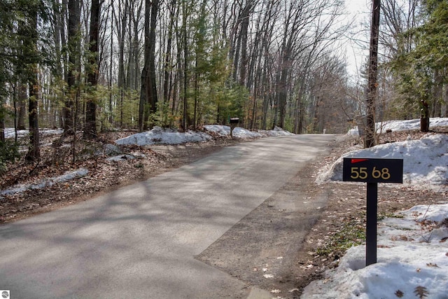 5568 Lakeview Dr, Interlochen, MI 49643 - view of road featuring a view of trees