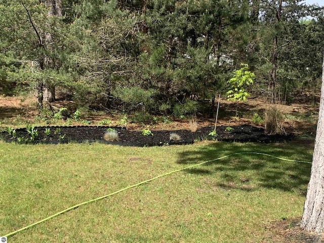11893 Lillian Lee Dr, Interlochen, MI 49643 - view of green lawn