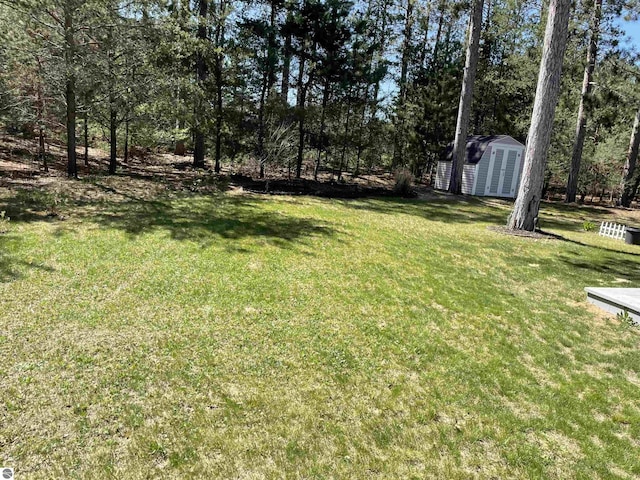 11893 Lillian Lee Dr, Interlochen, MI 49643 - view of grassy yard with a storage shed and an outbuilding