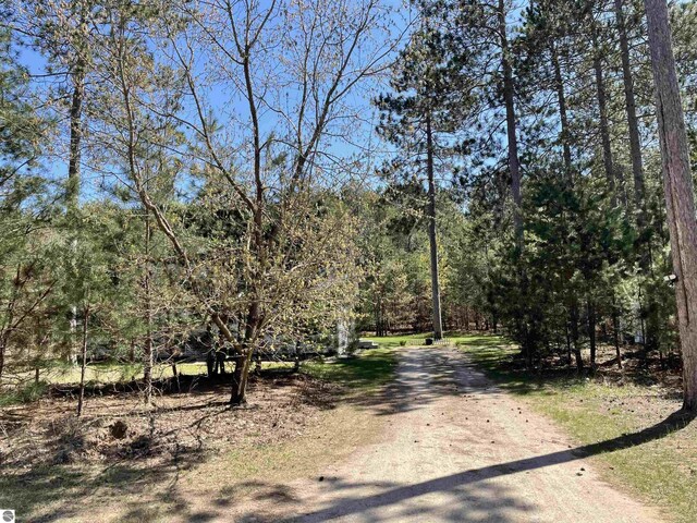 11893 Lillian Lee Dr, Interlochen, MI 49643 - view of dirt / gravel road