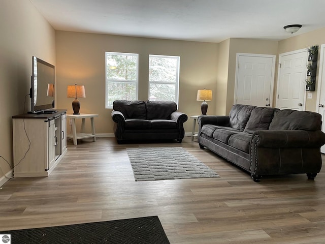 11893 Lillian Lee Dr, Interlochen, MI 49643 - living room featuring baseboards and light wood finished floors