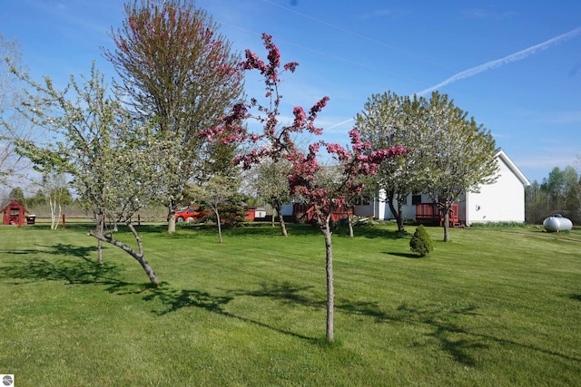 view of green lawn