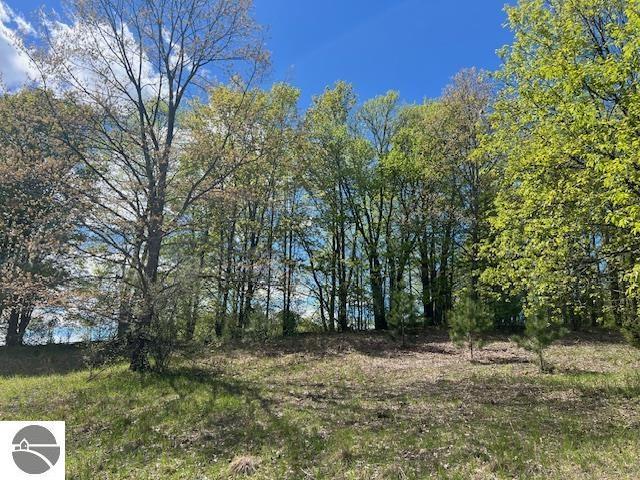 Deal Rd, Williamsburg, MI 49690