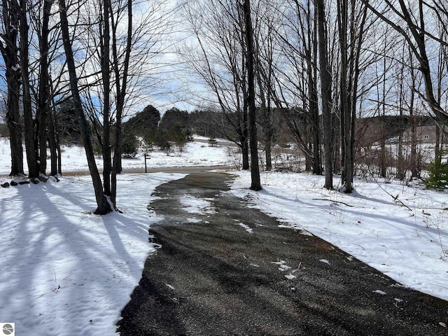 view of road