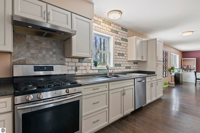 kitchen featuring under cabinet range hood, a sink, plenty of natural light, dark countertops, and stainless steel appliances