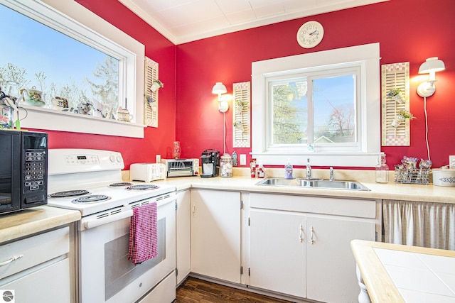 622 Leelanau Ave, Frankfort, MI 49635 - kitchen featuring light countertops, electric range, black microwave, and a sink
