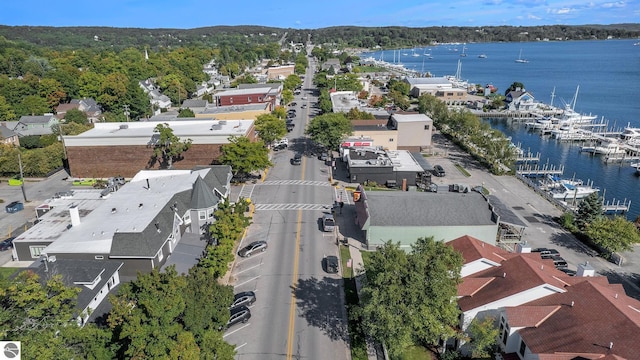 622 Leelanau Ave, Frankfort, MI 49635 - birds eye view of property with a view of trees and a water view