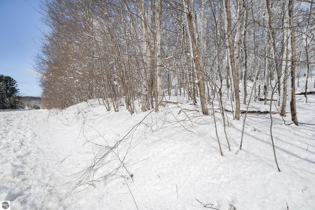 V/L S Coleman Rd, Maple City, MI 49664