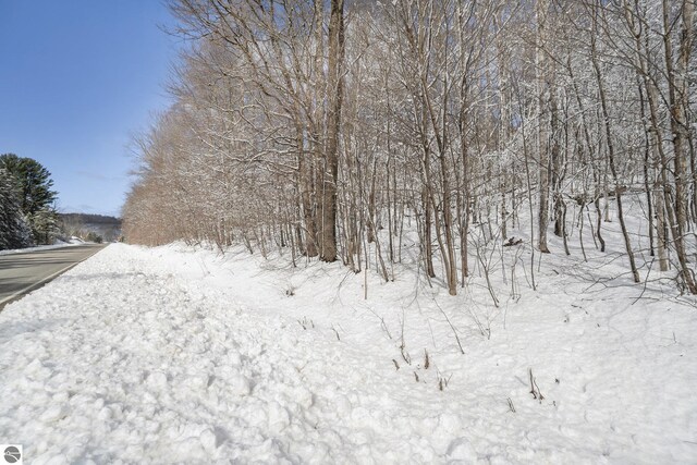 V/L S Coleman Rd, Maple City, MI 49664