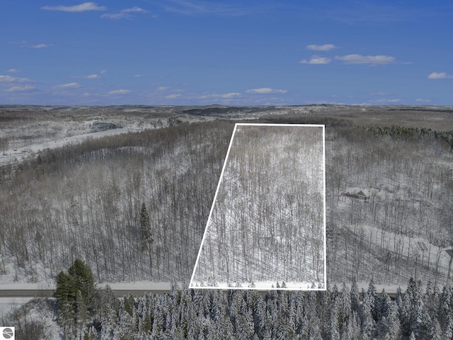 V/L S Coleman Rd, Maple City, MI 49664