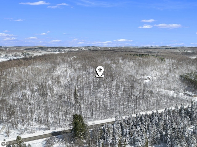 V/L S Coleman Rd, Maple City, MI 49664